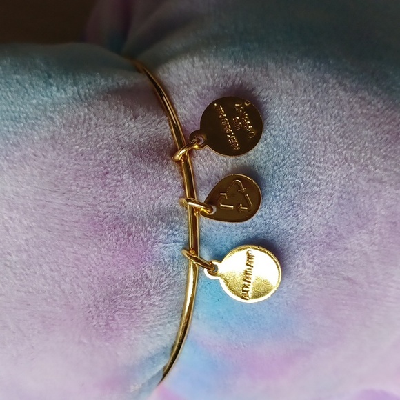 Capricorn Celestial Wheel expandable bangle by Alex and Ani RARE/DISCONTINUED - Picture 5 of 12